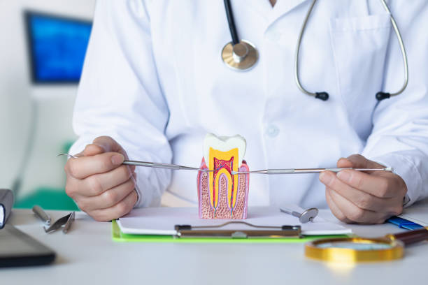 Best Weekend Emergency Dentist in Alliae, NC